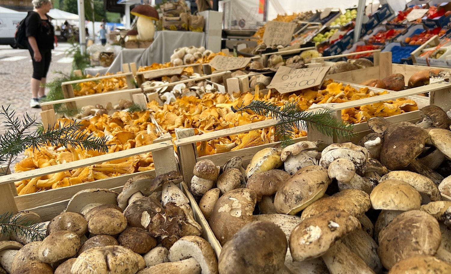 FESTA FUNGHI forni di sopra  FESTA FUNGHI forni di sopra