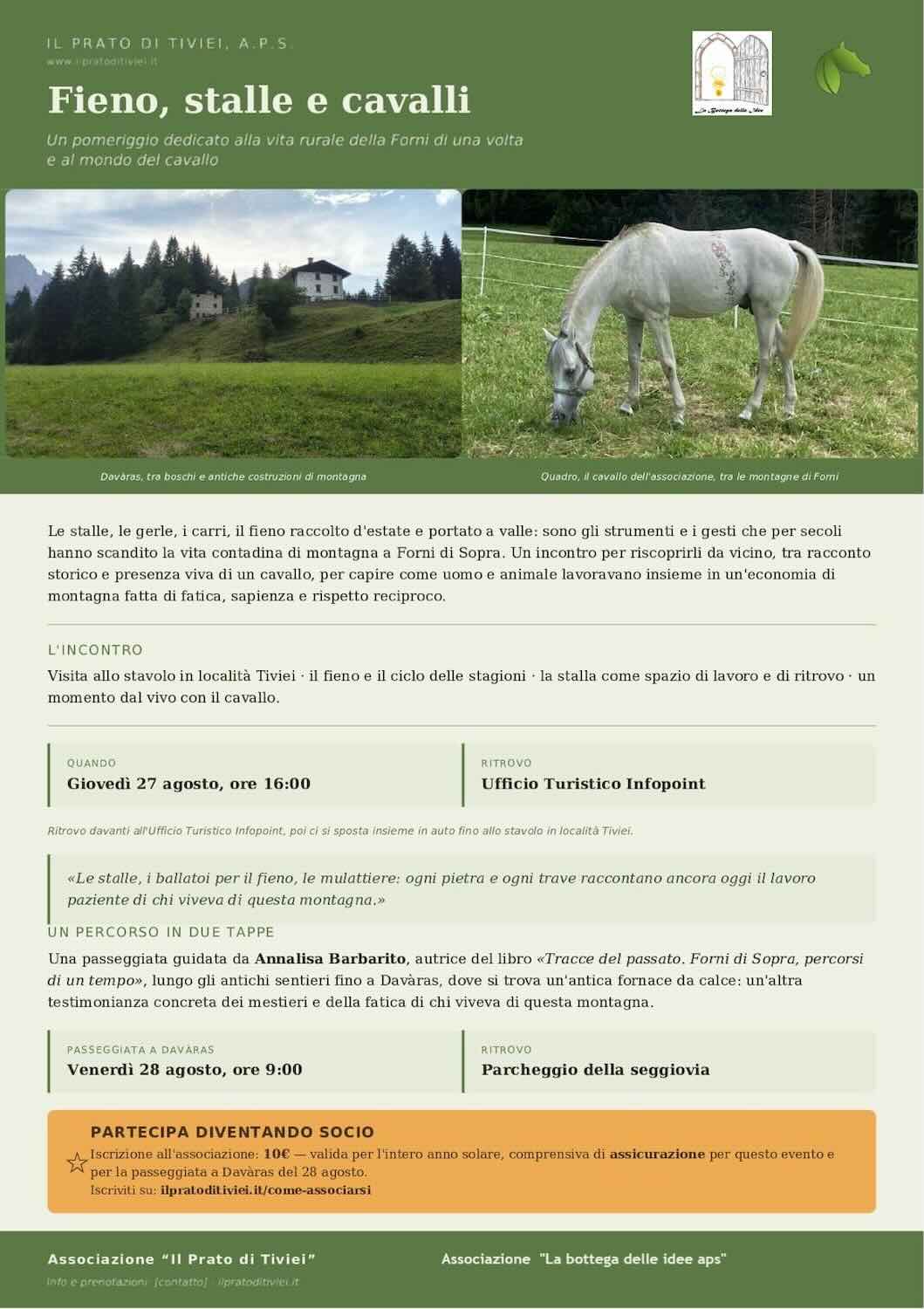 Fieno stalle e cavalli
