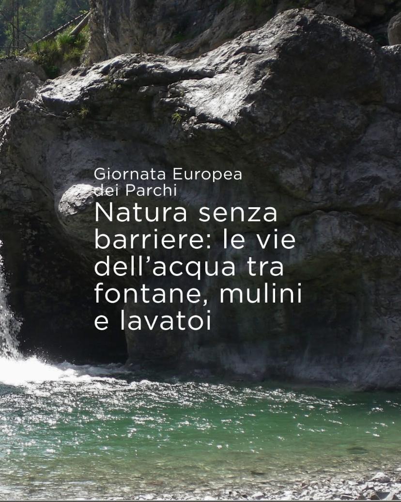 Giornata senza barriere parco