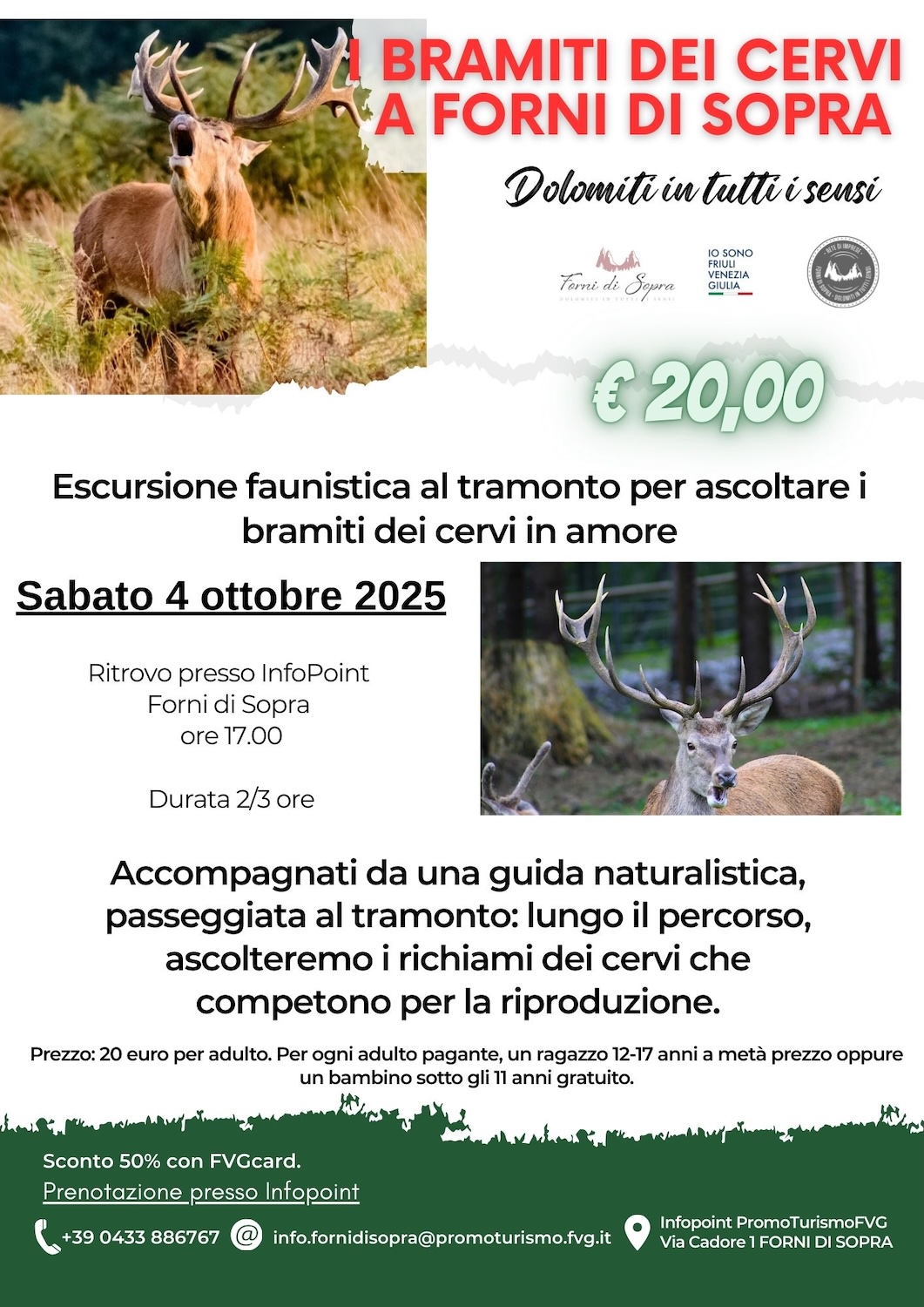 I bramiti dei cervi 4 ottobre