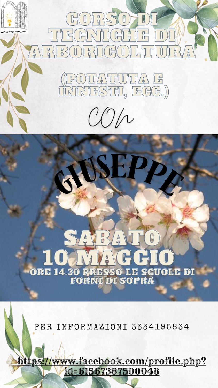 arboricoltura