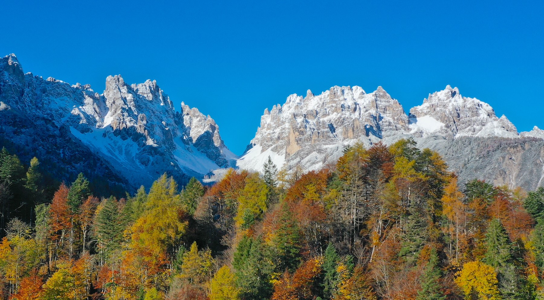 autunno dolomiti friulane forni di sopra