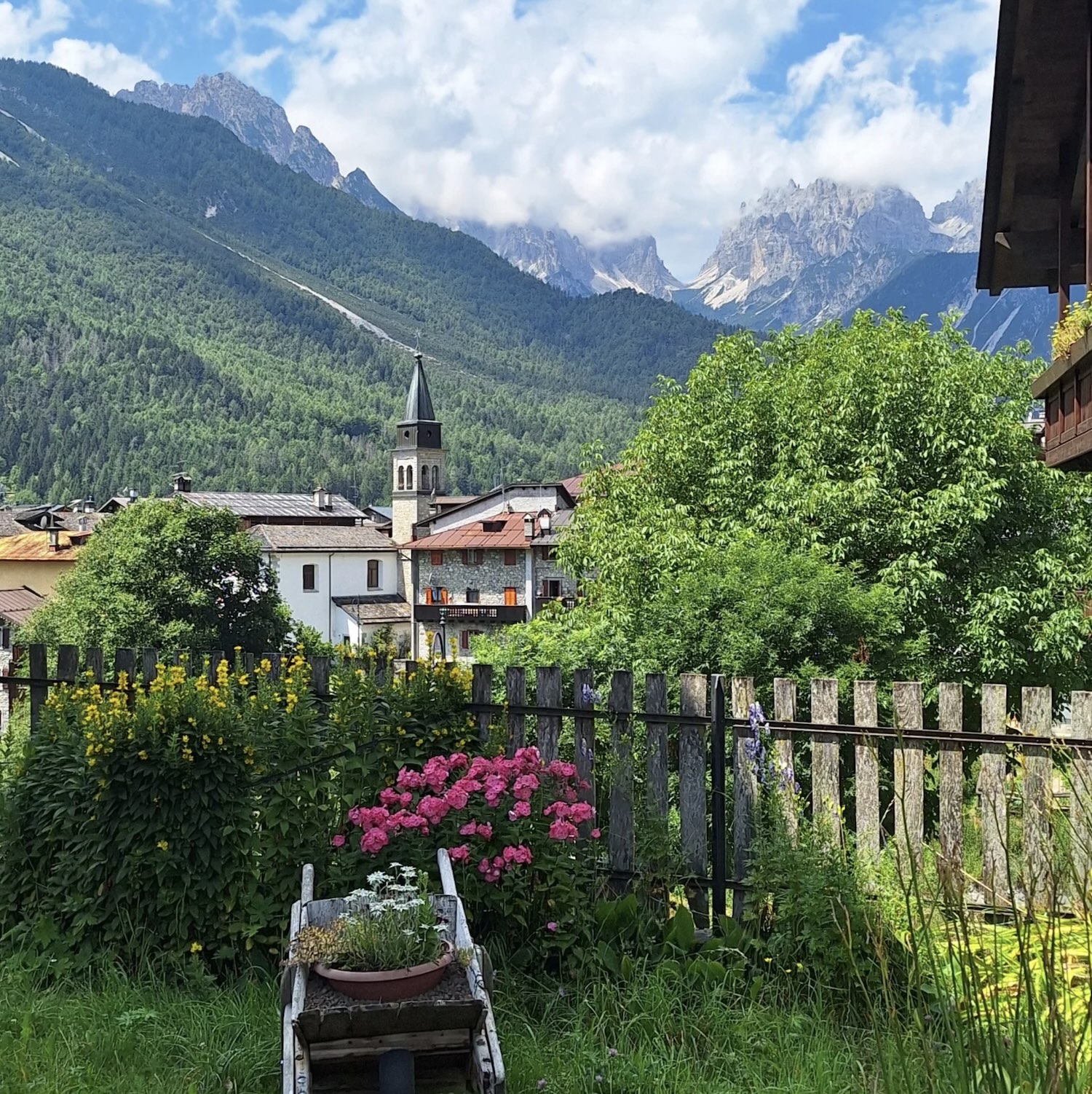 concorso foto fornidisopra 2025 prima classificata