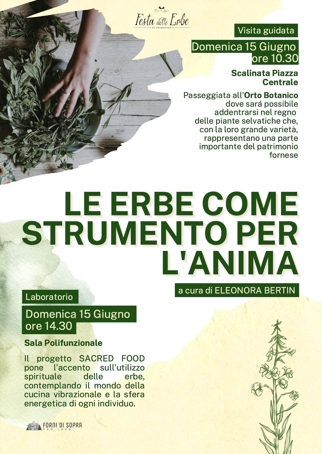 erbe strumento anima