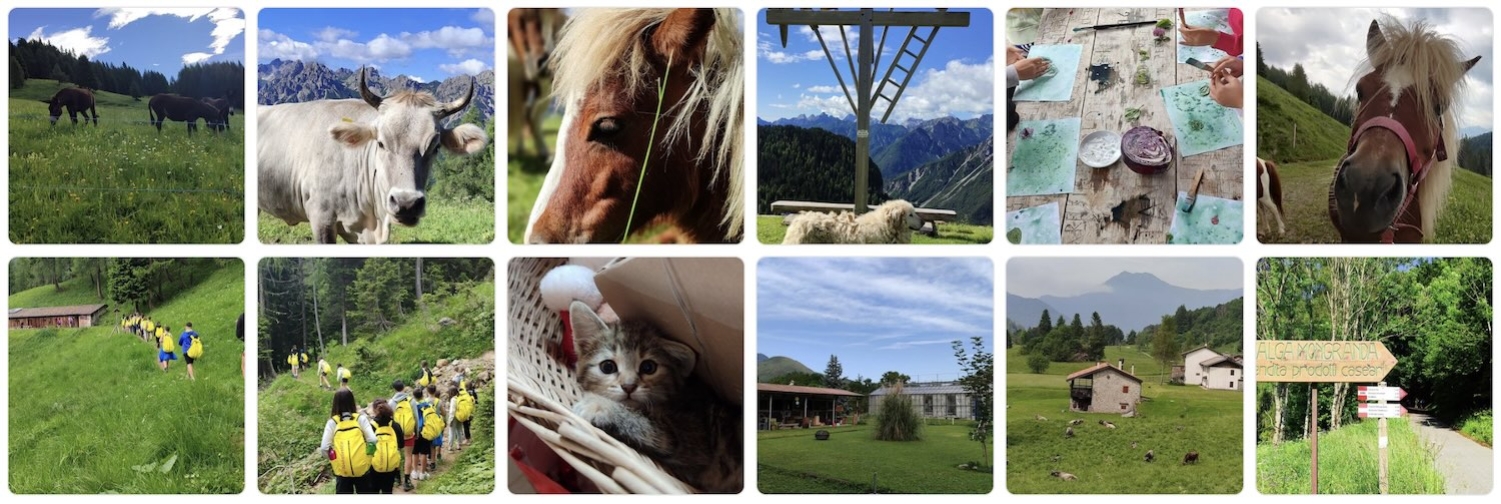 allegra-fattoria-varmost-1