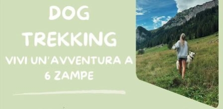 dog-trakking-piccola