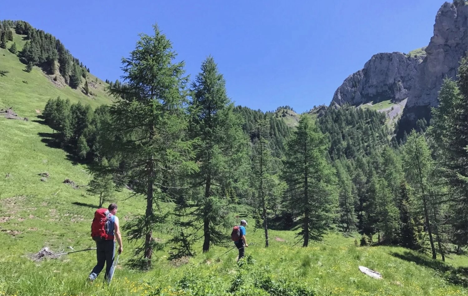 escursione-trekking-in-quota-forni-di-sopra