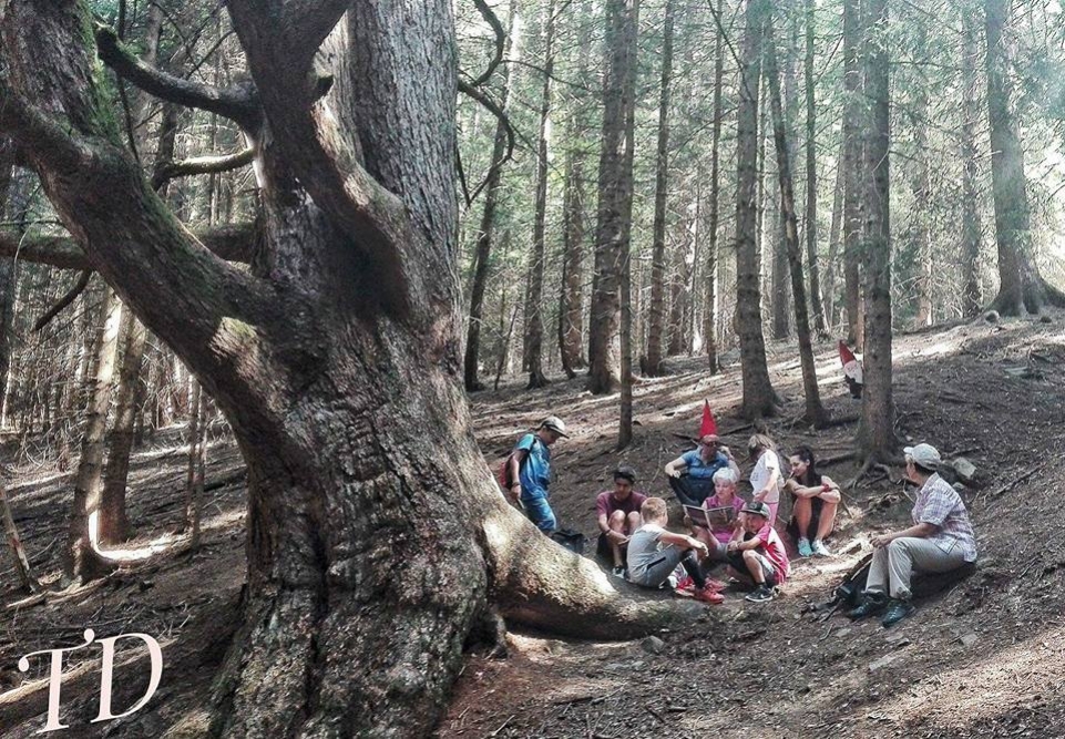 greeters-forni-di-sopra-harluk-larice-gigante