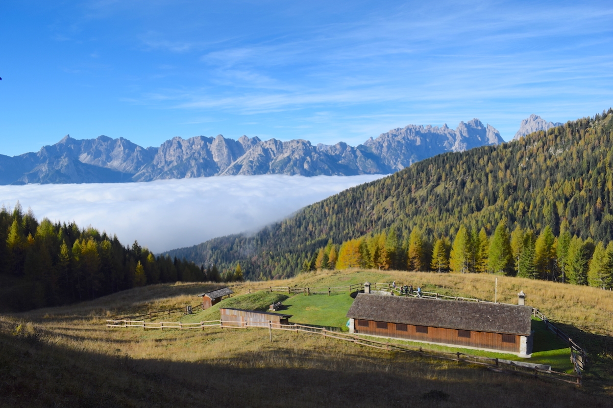 MALGA-MONTEMAGGIORE-BIVACCO-FRANCESCUTTO_0009
