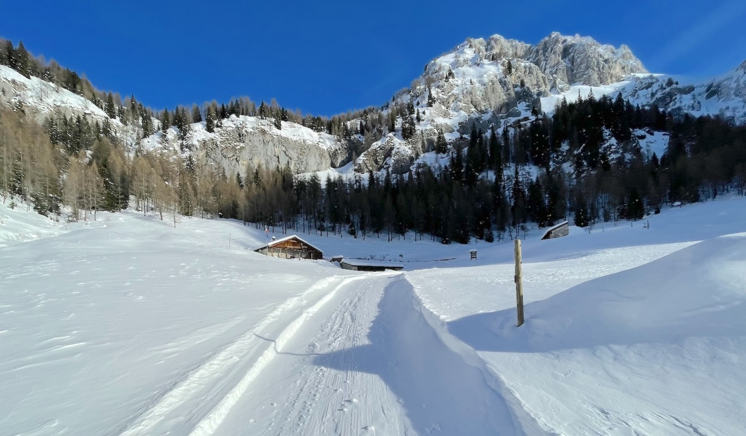 skialp-ciaspole-tartoi-fornidisopra