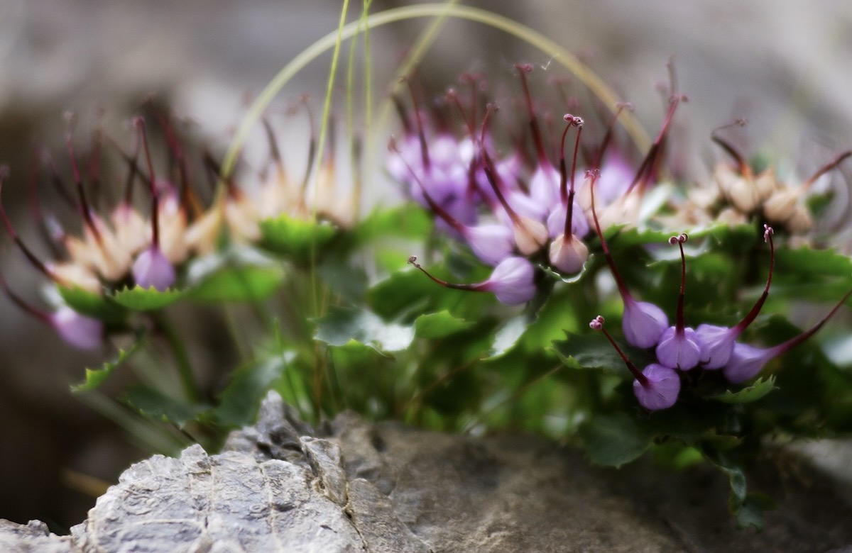 Concorso fotografico del CAI - 2026