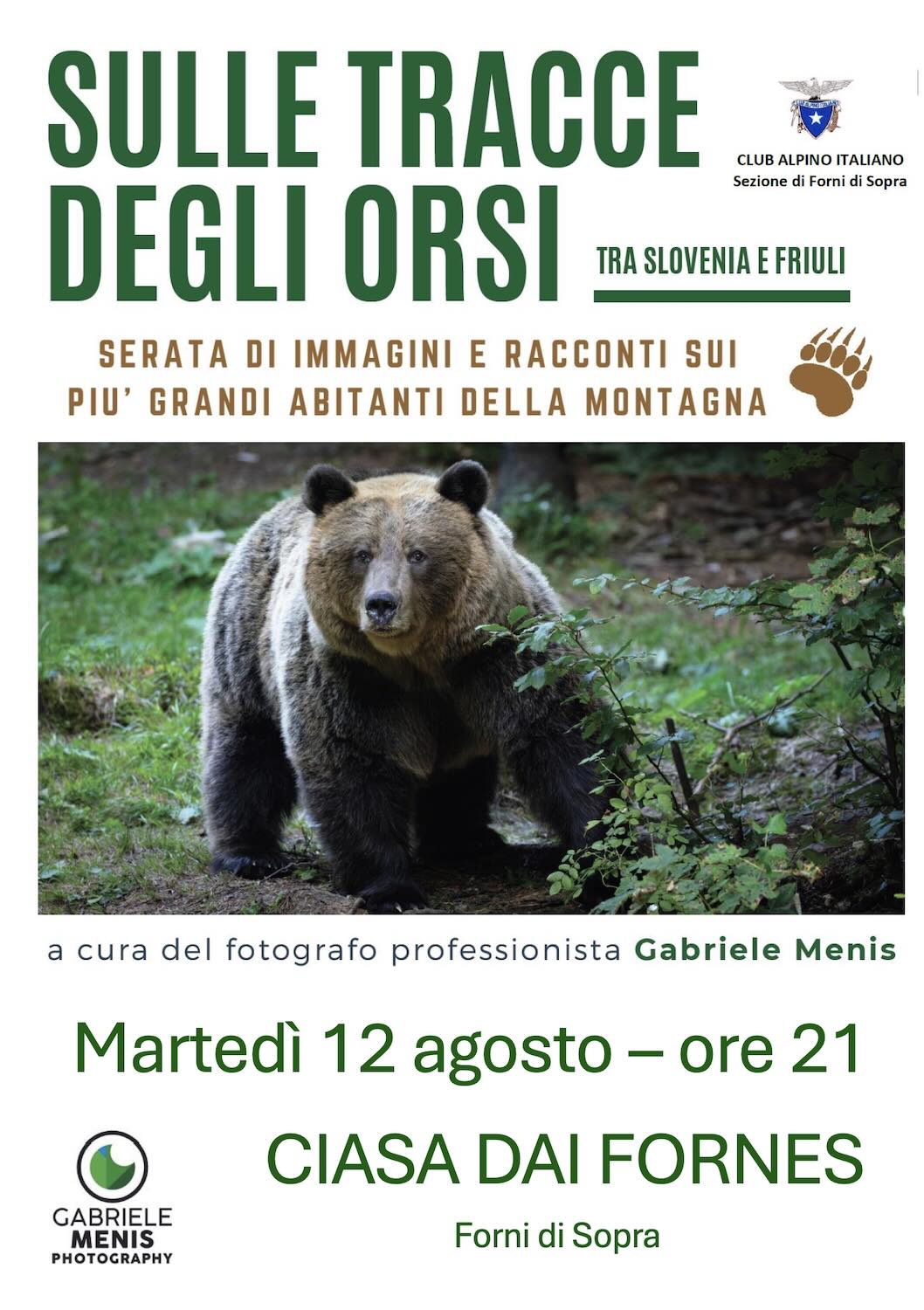 sulle tracce degli orsi