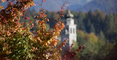 Eventi autunnali a Forni di Sopra